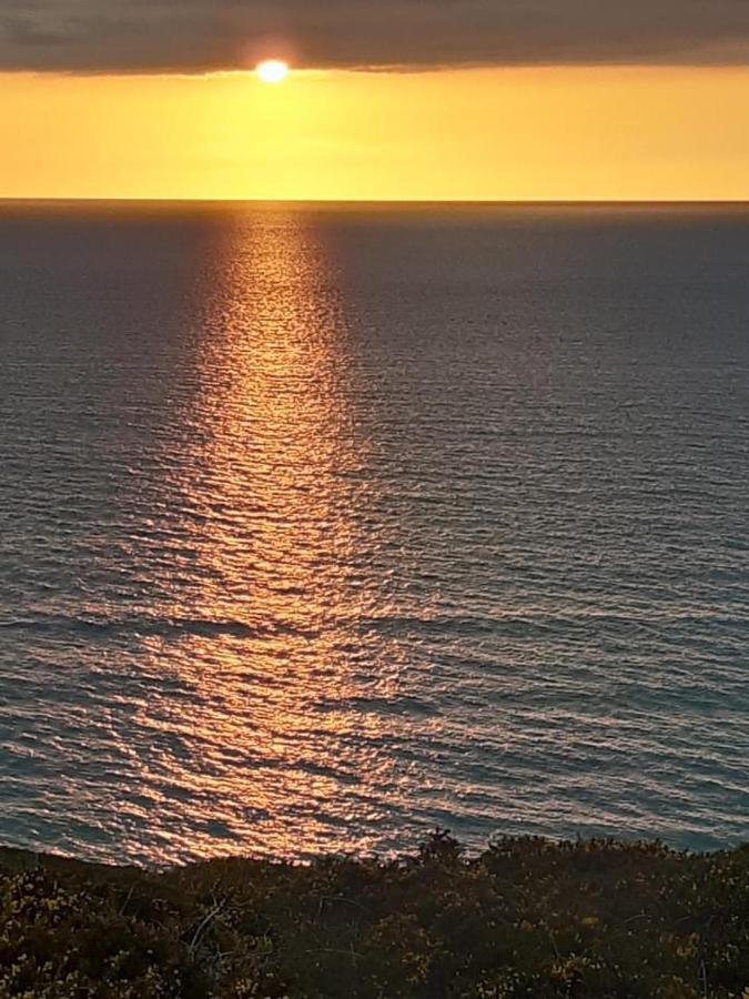 58 Newquay View, Newquay Bay Resort Buitenkant foto